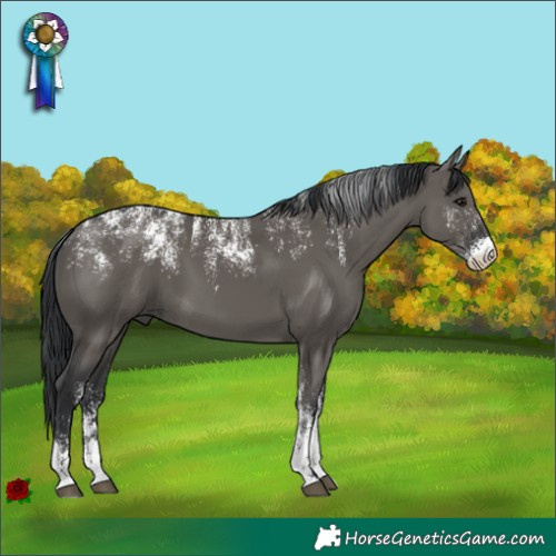 Horse Color:Powder White Grullo 
