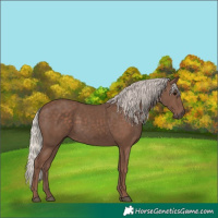 Horse Color:Silver Black 