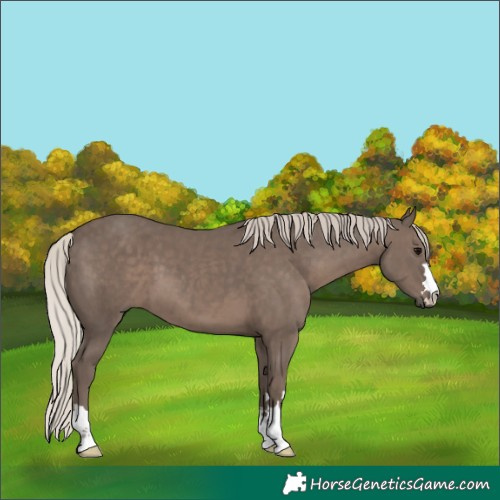 Horse Color:Silver Black 