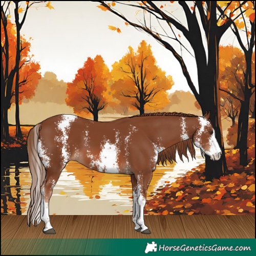 Horse Color:Chestnut Sabino