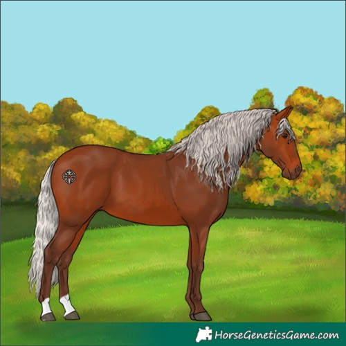 Horse Color:Unknown 