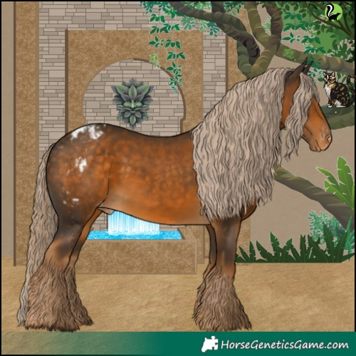 Horse Color:Chocolate Palomino Skewed Appaloosa 