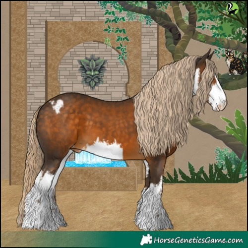 Horse Color:White Spotted Chocolate Palomino Skewed LP Spotted