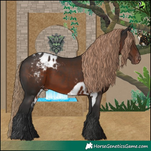 Horse Color:White Spotted Liver Chestnut Skewed LP Spotted