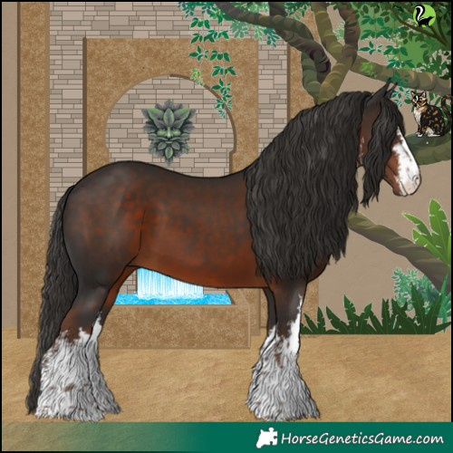 Horse Color:White Spotted Liver Chestnut