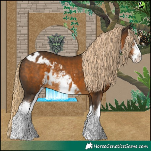 Horse Color:White Spotted Chocolate Palomino Skewed Appaloosa