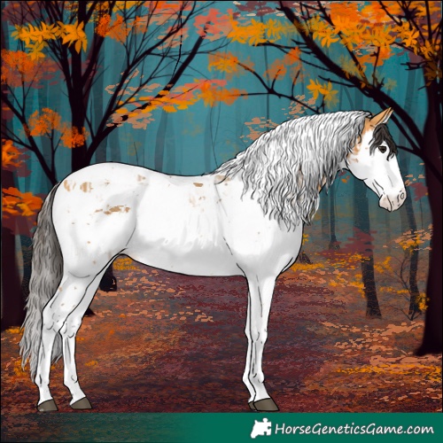 Horse Color:Buckskin Splash Tobiano  and Buckskin Splash Tobiano 
