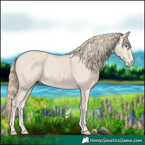 Horse Color:Smoky Creme