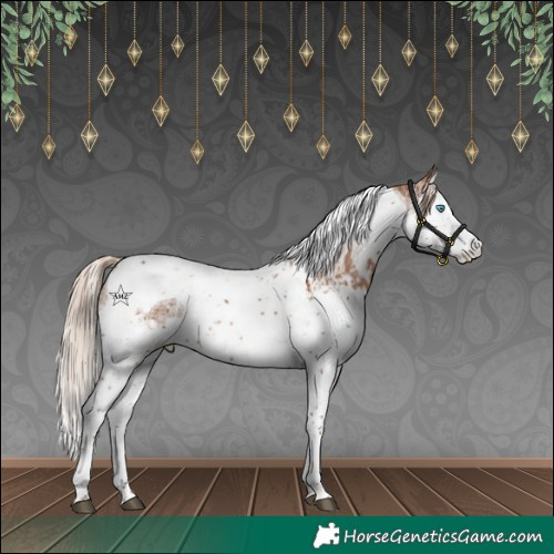 Horse Color:Chestnut Splash Tobiano  and White Spotted Chestnut Splash Tobiano 