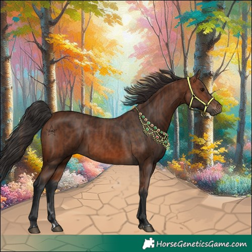 Horse Color:Brown Rabicano and Bay Rabicano