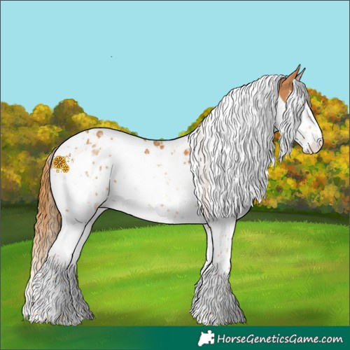 Horse Color:Chestnut Splash Tobiano  and Chestnut Splash Tobiano 