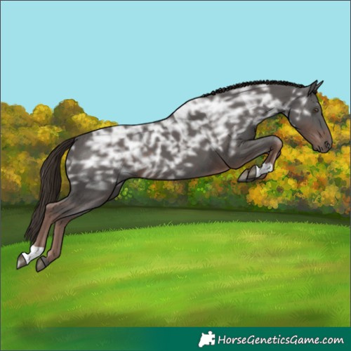 Horse Color:Liver Chestnut Ice 