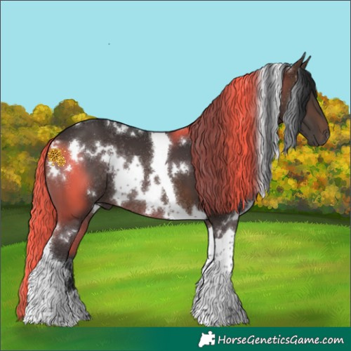 Horse Color:White Spotted Brown Tobiano Rabicano 