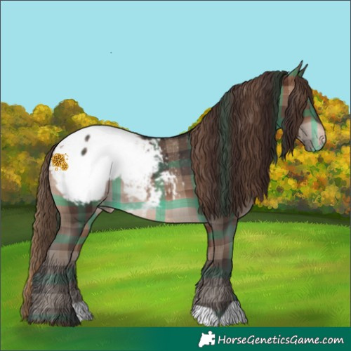 Horse Color:Plaid Brown Mushroom Appaloosa