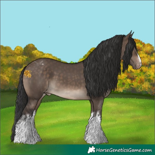 Horse Color:White Spotted Brown Dun Appaloosa 