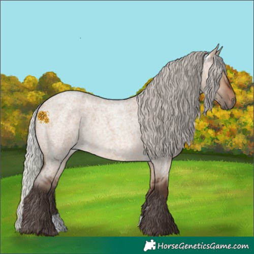 Horse Color:Silver Brown Roan Dun 