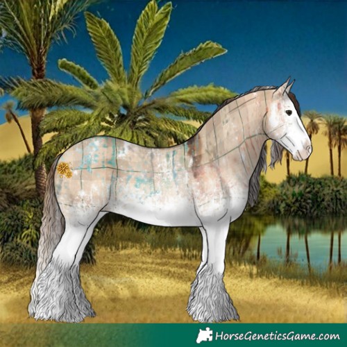 Horse Color:Plaid White Spotted Silver Bay and Plaid White Spotted Bay Dun