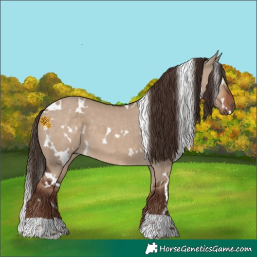 Horse Color:White Spotted Liver Red Dun