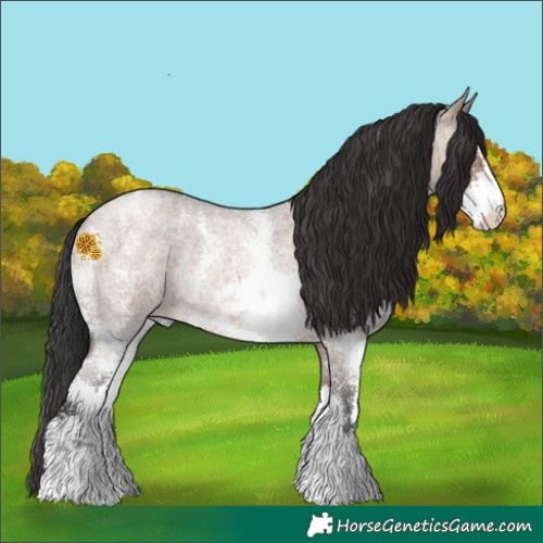 Horse Color:Brown Roan Dun Sabino