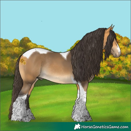 Horse Color:Buckskin Tobiano Rabicano 