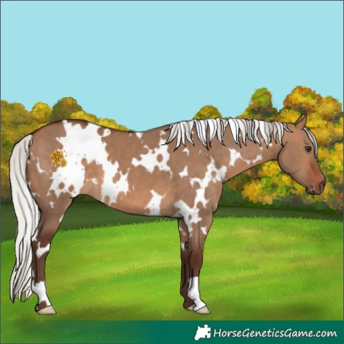Horse Color:White Spotted Silver Brown Dun 