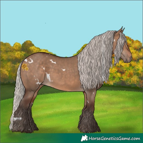 Horse Color:White Spotted Silver Brown Dun 