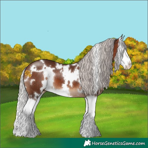 Horse Color:White Spotted Silver Brown Splash 
