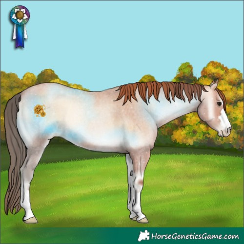 Horse Color:Bay Roan Pearl Onyx