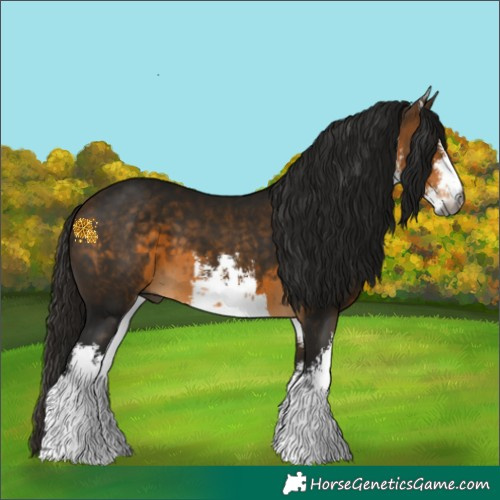 Horse Color:Gray White Spotted Buckskin 