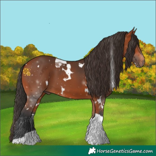 Horse Color:White Spotted Bay Tobiano