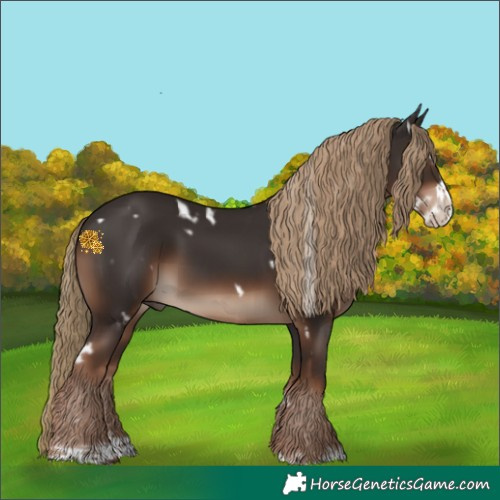 Horse Color:White Spotted Liver Chestnut Splash Frame Rabicano 