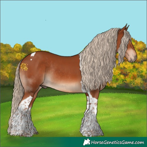 Horse Color:Chestnut Tobiano Rabicano 