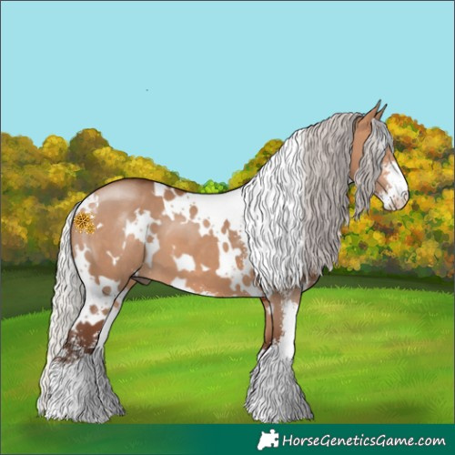 Horse Color:White Spotted Silver Bay Dun Sabino 