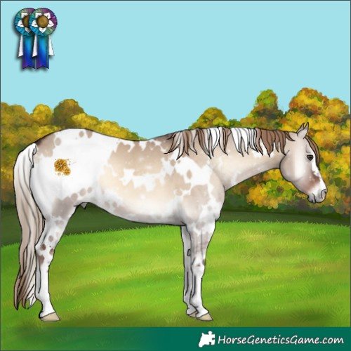 Horse Color:White Spotted Liver Red Dun Onyx 