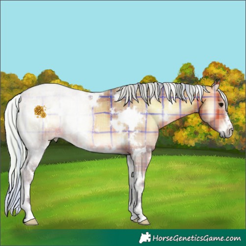 Horse Color:Watercolor Plaid  White Spotted Silver Bay Onyx 