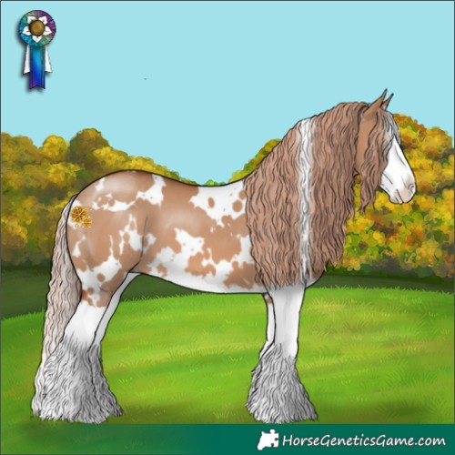 Horse Color:White Spotted Red Dun Splash