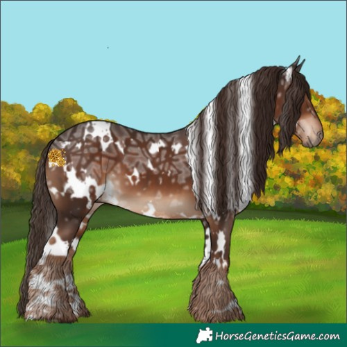 Horse Color:White Spotted Liver Chestnut Ice