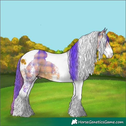 Horse Color:Watercolor Plaid  White Spotted Bay Tobiano 