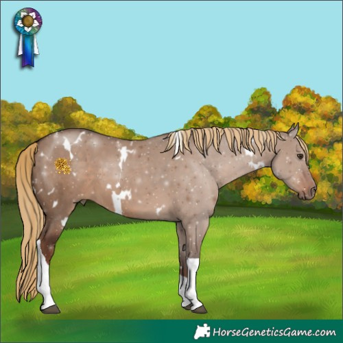 Horse Color:White Spotted Liver Red Dun Tobiano 