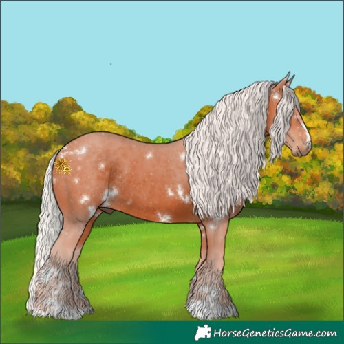 Horse Color:White Spotted Silver Bay Rabicano
