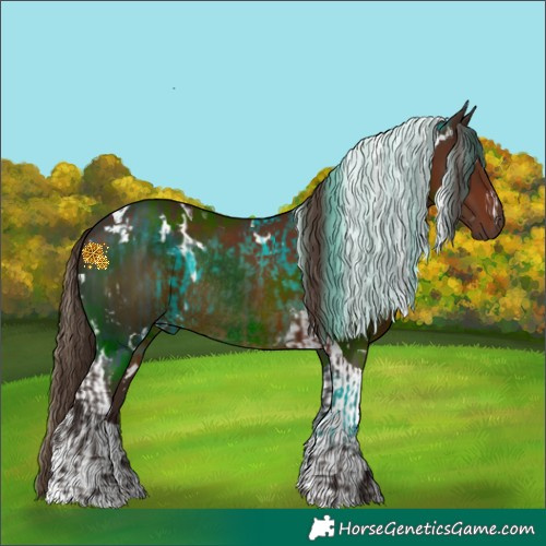 Horse Color:White Spotted Liver Chestnut Rabicano and White Spotted Liver Chestnut Tobiano Rabicano