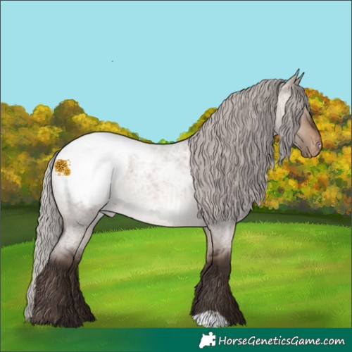 Horse Color:Silver Brown Roan Dun Appaloosa