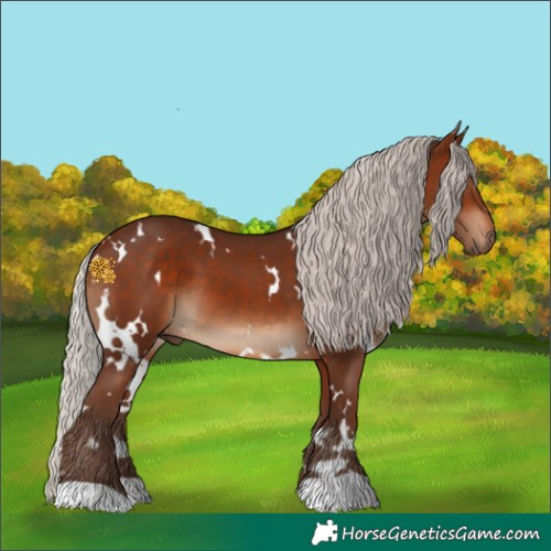 Horse Color:White Spotted Silver Brown