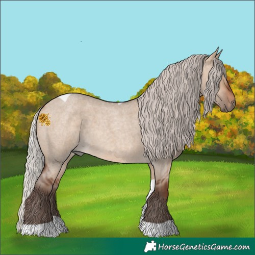 Horse Color:Silver Brown Roan Dun Tobiano