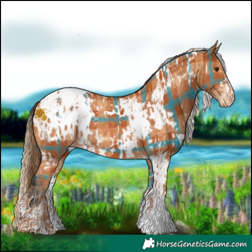 Horse Color:White Spotted Chestnut Blanket Rabicano and Plaid White Spotted Bay Blanket
