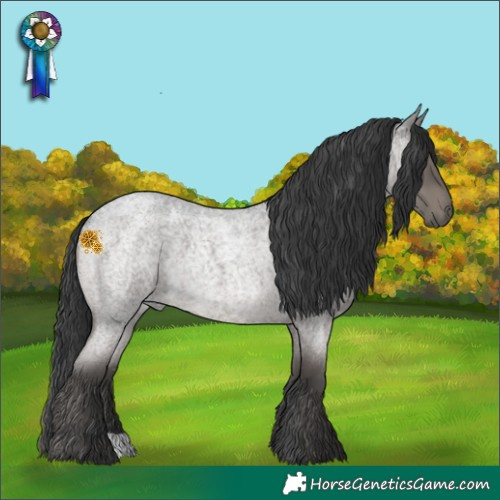 Horse Color:Blue Roan