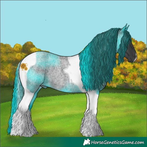 Horse Color:Blue Roan Tobiano Rabicano