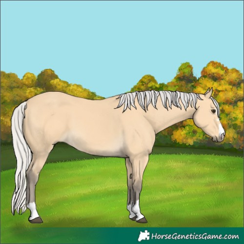 Horse Color:Silver Buckskin 