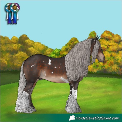 Horse Color:White Spotted Silver Brown Tobiano