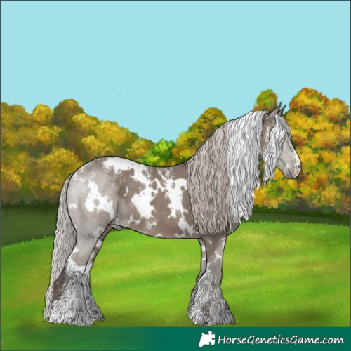 Horse Color:Powder White White Spotted Silver Grullo